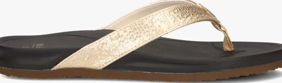 BLASZ en teenslippers bella 2402 goud Best