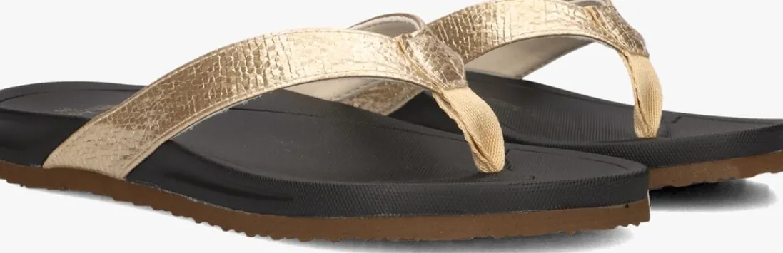 BLASZ en teenslippers bella 2402 goud Best