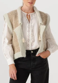 FORTE FORTE en gilet natte' tweed and boucle' knit vest goud Hot