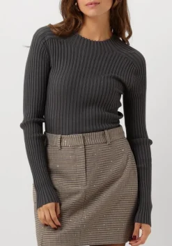 AAIKO grijze tops & t-shirts bente vis 300 grijs Best