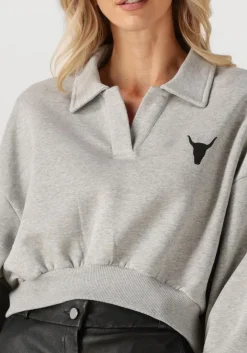 ALIX THE LABEL grijze sweater ladies knitted polo sweater grijs Outlet