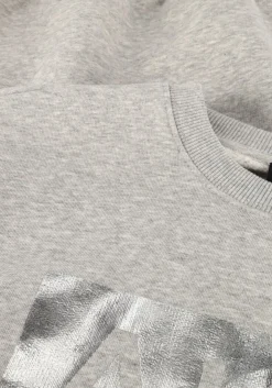ALIX THE LABEL grijze trui foil logo sweater grijs Discount