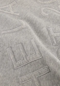 ALIX THE LABEL grijze trui ladies knitted text patches sweater grijs Hot