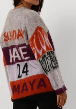 AMAYA AMSTERDAM grijze trui amaya race sweater grijs Online