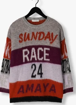 AMAYA AMSTERDAM grijze trui amaya race sweater grijs Online
