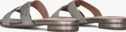 BIBI LOU grijze slippers 849z94hg grijs Hot