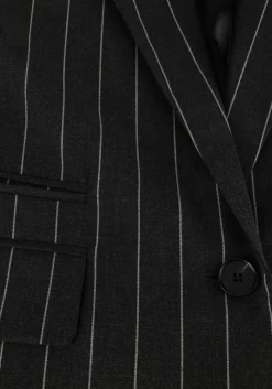 CO'COUTURE grijze blazer prescilla pin blazer grijs