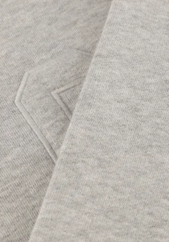 CO'COUTURE grijze sweater zoe coco sweat grijs