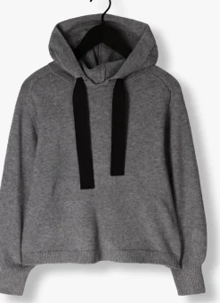 CO'COUTURE grijze trui row hoodie knit grijs Outlet