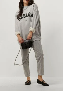 DEBLON SPORTS grijze sweater puck sweater grijs New