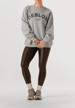 DEBLON SPORTS grijze trui cathy sweater grijs Best