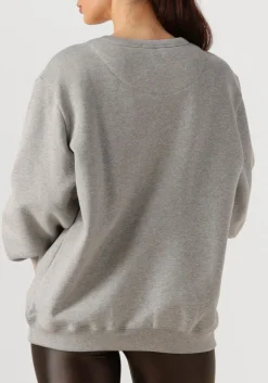 DEBLON SPORTS grijze trui cathy sweater grijs Best