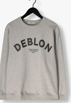 DEBLON SPORTS grijze trui cathy sweater grijs Best