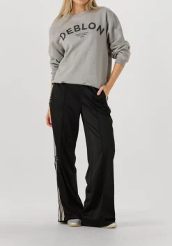 DEBLON SPORTS grijze trui cathy sweater grijs Best