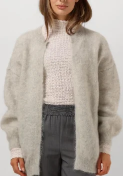 DES PETITS HAUTS grijze vest altea grijs