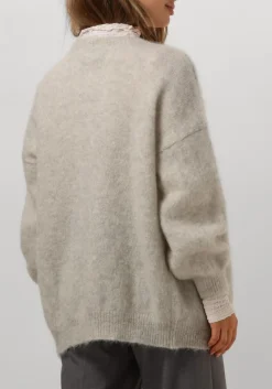 DES PETITS HAUTS grijze vest altea grijs