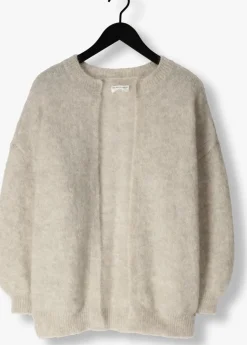 DES PETITS HAUTS grijze vest altea grijs