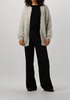 DES PETITS HAUTS grijze vest altea grijs