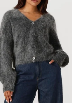 GESTUZ grijze vest gzdebbie cardigan grijs Online