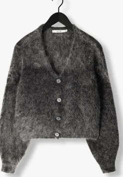 GESTUZ grijze vest gzdebbie cardigan grijs Online