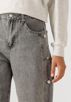 HAUTE L'AMITIÉ grijze haute l'amitié wide jeans side panel button tall jeans grijs Discount