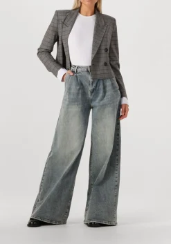 JANICE grijze blazer stan grijs New