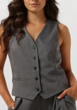 JANICE grijze gilet dave gilet grijs Sale