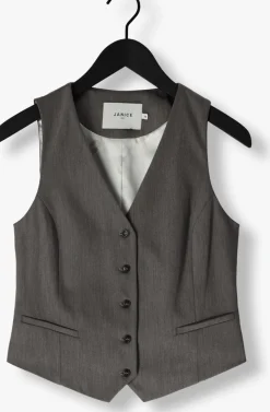 JANICE grijze gilet dave gilet grijs Sale