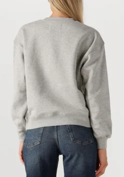 JANICE grijze sweater andy grijs Hot