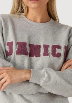 JANICE grijze sweater andy grijs Hot