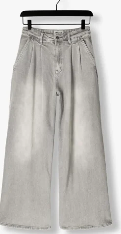 JANICE grijze wide jeans jeans wijde pijp stretch dollar grijs Outlet