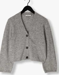 KNIT-TED grijze vest ariel grijs Outlet