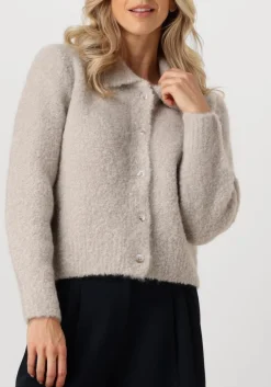 KNIT-TED grijze vest asa grijs Discount