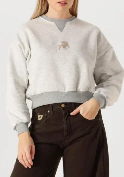 LOIS JEANS grijze sweater cropp over lichtgrijs Clearance