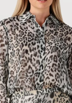 RIANI grijze blouses 575130-4446 grijs Online