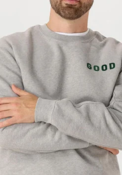 THE GOODPEOPLE grijze sweater lteddy grijs New