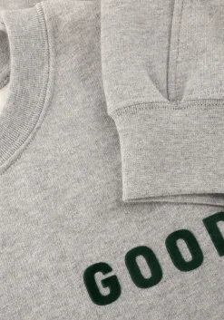 THE GOODPEOPLE grijze sweater lteddy grijs New