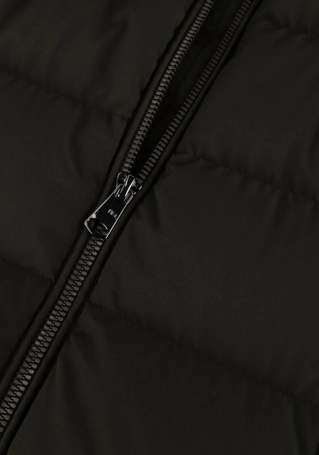 BEAUMONT e gewatteerde jas polly groen Hot