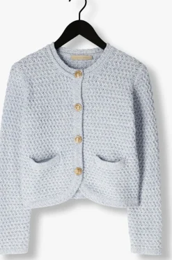 VANESSA BRUNO e vest dorina lichtblauw