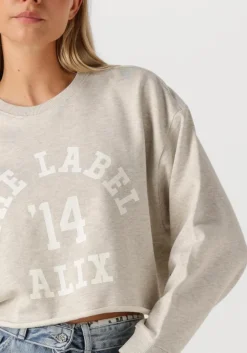 ALIX THE LABEL lichtgrijze trui ladies knitted soft sweater lichtgrijs New