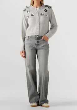 DANTE6 lichtgrijze vest fawn sequin cardigan lichtgrijs