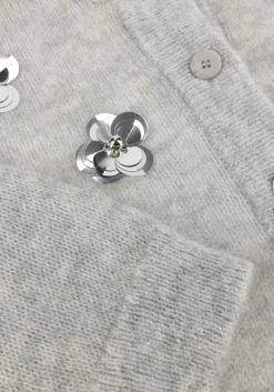 DANTE6 lichtgrijze vest fawn sequin cardigan lichtgrijs