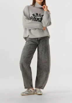 DEBLON SPORTS lichtgrijze sweater tess sweater lichtgrijs Clearance