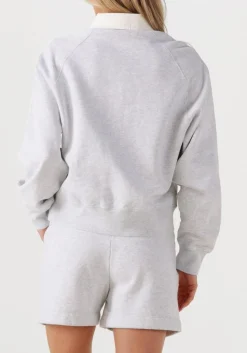 DEBLON SPORTS lichtgrijze trui coco lichtgrijs Online