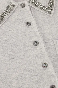 JANICE lichtgrijze sweater rebel lichtgrijs Sale