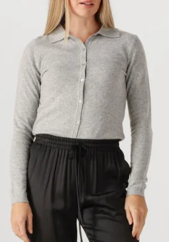 RESORT FINEST lichtgrijze vest polo short cardigan lichtgrijs Online