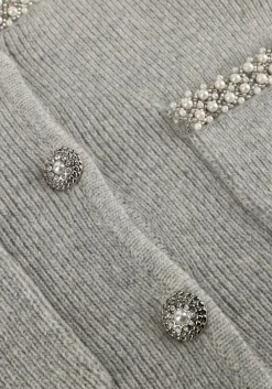 SUNCOO lichtgrijze vest garvi lichtgrijs Discount