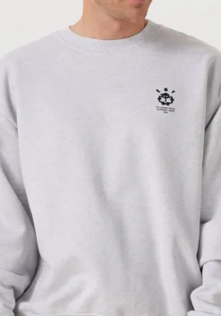 THE SAVAGE REPORT lichtgrijze sweater the reporter lichtgrijs Best