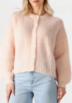 DES PETITS HAUTS trui alma lichtroze Best