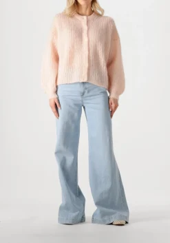 DES PETITS HAUTS trui alma lichtroze Best